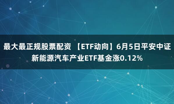 最大最正规股票配资 【ETF动向】6月5日平安中证新能源汽车产业ETF基金涨0.12%