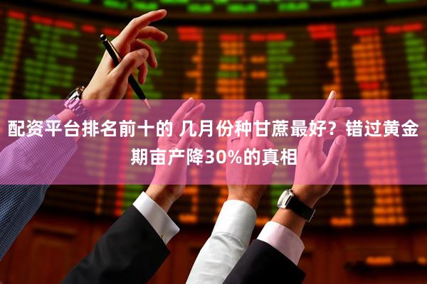 配资平台排名前十的 几月份种甘蔗最好？错过黄金期亩产降30%的真相