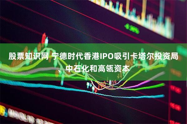 股票知识网 宁德时代香港IPO吸引卡塔尔投资局、中石化和高瓴资本